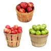 3-in-1 Apple Tree -Garden Plant Store 3 in 1 Apple 600x600 9edf9e9a ce86 4b58 beb9 2946adf65064