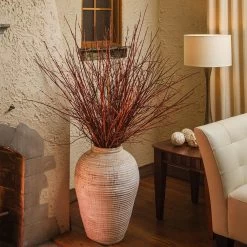 Arctic Fire® Red Twig Dogwood -Garden Plant Store Arctic Fire Twig Dogwood 6 FGT