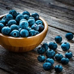 Aurora Blueberry Bush - USDA Organic -Garden Plant Store Aurora Blueberry 4 dc5a7e17 d7e4 4799 b1b9 177f422f6847