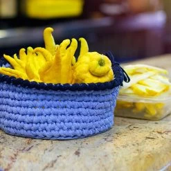 Buddha's Hand Citron -Garden Plant Store BUddhas Hand Citrus 6 FGT