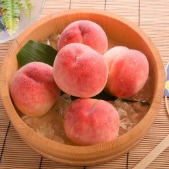 Babcock Peach Tree 10 Babcock Peach Tree -Garden Plant Store Babcock Peach 1