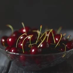 Black Tartarian Cherry Tree 10 Black Tartarian Cherry Tree -Garden Plant Store Black Tartarian Cherry Tree 2 FGT