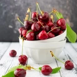 Brooks Cherry Tree -Garden Plant Store Brooks Cherry Tree 5 FGT