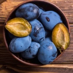 Brooks Plum Tree -Garden Plant Store Brooks Plum 2