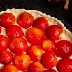 Bubblegum 'Toka' Plum Tree 11 Bubblegum 'Toka' Plum Tree -Garden Plant Store Bubblegum Toka Plum 3