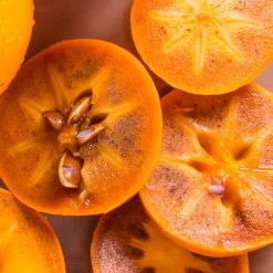 Chocolate Persimmon Tree 7 Chocolate Persimmon Tree -Garden Plant Store CHocolate Persimmon 2