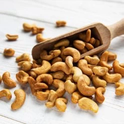 Cashew Tree -Garden Plant Store Cashew Nut Tree 5