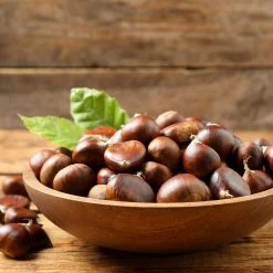 Chinese Chestnut Tree -Garden Plant Store Chinese Chestnut 3 FGT