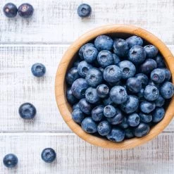 Climax Blueberry -Garden Plant Store Climax Blueberry 4