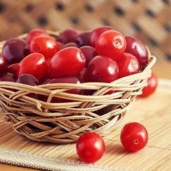 Cornelian Cherry Dogwood Tree -Garden Plant Store Cornelian Cherry Dogwood 1 FGT