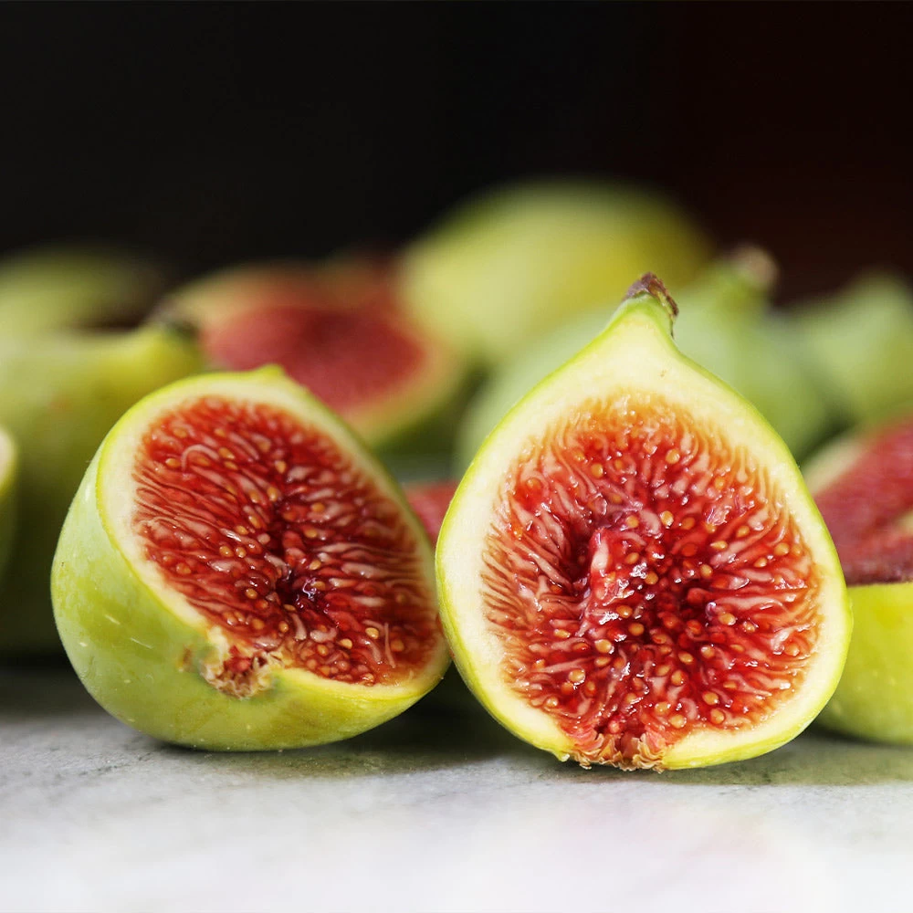 Desert King Fig Tree 6 Desert King Fig Tree - Image 4