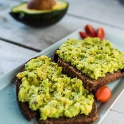 Condo™ Avocado Tree -Garden Plant Store Day Condo Avocado 2