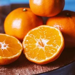 EasyPeel Clementine Tree -Garden Plant Store Easy Peel Clementine 4 FGT