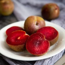 Elephant Heart Plum Tree -Garden Plant Store Elephant Heart Plum 1