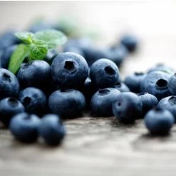 Elliot Blueberry Bush 9 Elliot Blueberry Bush -Garden Plant Store Elliot Blueberry 450 D2