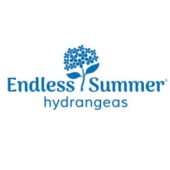 Endless Summer® Summer Crush® Hydrangea -Garden Plant Store Endless Summer Hydrangeas 1000x1000 347a4889 45a5 42f4 94f1 e0220955e380