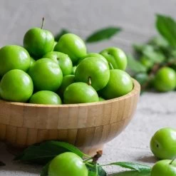 Green Gage Plum -Garden Plant Store Green Gage Plum 2