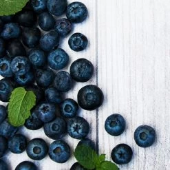 Jewel Blueberry Bush -Garden Plant Store Jewel Blueberry 2