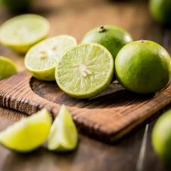 Key Lime Tree -Garden Plant Store Key Lime Tree 5 FGT