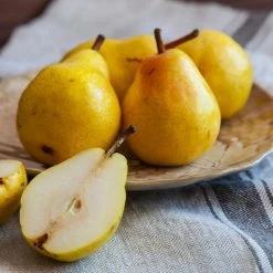 Kieffer Pear Tree 11 Kieffer Pear Tree -Garden Plant Store Kieffer pear 1 FGT