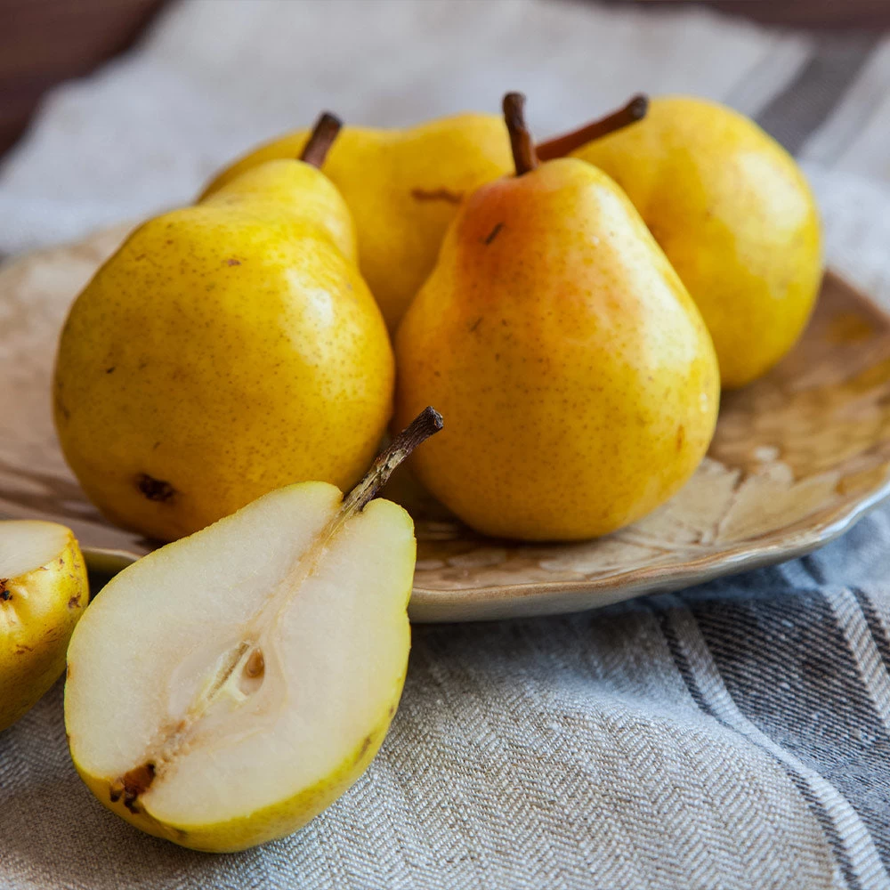 Kieffer Pear Tree 6 Kieffer Pear Tree - Image 4