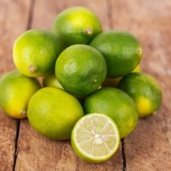 Limequat Citrus Tree 9 Limequat Citrus Tree -Garden Plant Store Limequat 4 FGT