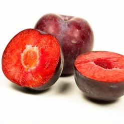 Methley Plum Tree -Garden Plant Store Methley Plum 3 6230ed7a 5c4e 4b03 88d0 ad8f75f62363