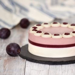 Methley Plum Tree -Garden Plant Store Methley Plum 5 d1cf4da0 c7c8 4a54 8dce 9916c07f2fa6