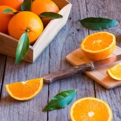 Midknight Valencia Orange -Garden Plant Store MidKnight Orange 3 FGT