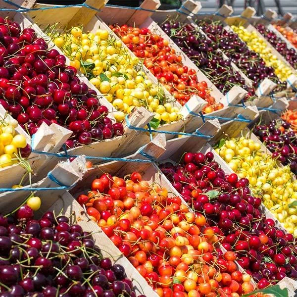 3-in-1 Cherry Tree 3 3-in-1 Cherry Tree