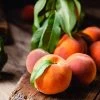 Multi-Peach Tree -Garden Plant Store Multi fruit peach 600x600 1bde10f6 0ebc 442c a3d4 35c7cd83288d