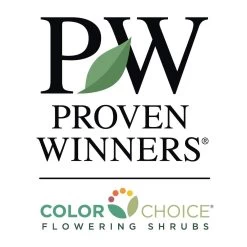 Spilled Wine® Weigela Shrub 11 Spilled Wine® Weigela Shrub -Garden Plant Store PW Logo CC 1000x1000 5ab0df04 a14c 4d8e aa3c ddfbfdc110b0