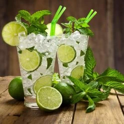 Persian 'Bearss' Lime Tree - USDA Organic -Garden Plant Store Persian Lime Tree 4 FGT 3e2376b1 dd45 4777 a1e5 8c0e252ea773