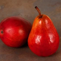 Red Bartlett Pear Tree -Garden Plant Store Red Bartlet Pear 1FGT