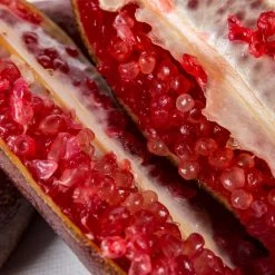 Red Finger Lime Tree 11 Red Finger Lime Tree -Garden Plant Store Red FInger Lime 1 1453b836 c1a1 4844 92f1 11e49d09cc4d