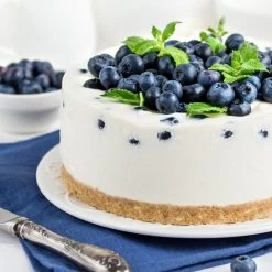 Sunshine Blue Blueberry Bush -Garden Plant Store SUnshine BLue Blueberry 4