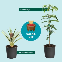 Salsa Kit 10 Salsa Kit -Garden Plant Store SalsaKitGraphic