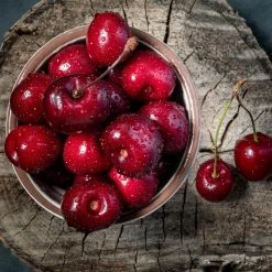 Santina™ Cherry Tree -Garden Plant Store Santina Cherry 1