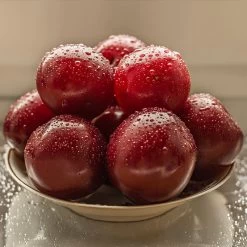 Satsuma Plum Tree -Garden Plant Store Satsuma Plum 3