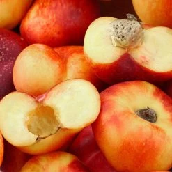 Saturn Peach Tree -Garden Plant Store Saturn Peach Tree 1