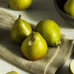 Seckel Pear Tree -Garden Plant Store Seckel Pear 5