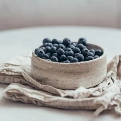 Sharpblue Blueberry Bush -Garden Plant Store Sharpblue Blueberry 1