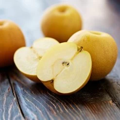 Shinseiki Asian Pear Tree -Garden Plant Store Shinseiki Asian Pear 5 FGT 5a5b3a9a ba1b 4c34 ab3a 649876b9efb2