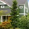 Slender Hinoki Cypress Tree -Garden Plant Store Slender Hinoki Cypress 600x600 00130065 cba9 4097 bf54 7cf0bb498fda