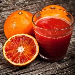 Smith Red Orange -Garden Plant Store Smith Red Orange 3 FGT