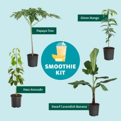 Smoothie Kit 12 Smoothie Kit -Garden Plant Store SmoothieKitGraphic