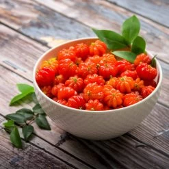 Star Cherry Tree (Pitanga) -Garden Plant Store Star Cherry 3 FGT