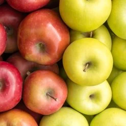 4-in-1 Apple Surprise Tree 8 4-in-1 Apple Surprise Tree -Garden Plant Store Surprise Apple 1 fd4b319d eb68 4ca8 b9dc 6ed8dd5560c3