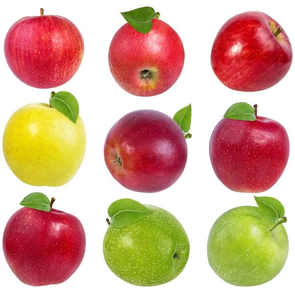 4-in-1 Apple Surprise Tree 3 4-in-1 Apple Surprise Tree