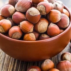Tonda Di Giffoni Filbert -Garden Plant Store Tonda Hazelnuts 400 2